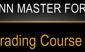 Matei – Gann Master Forex Course