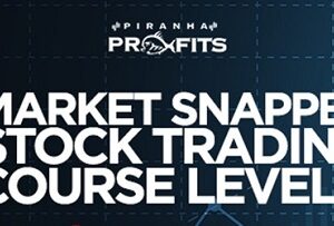 Adam Khoo – Piranha Profits – Stock