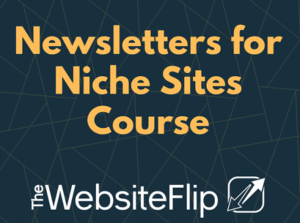 Read more about the article Mushfiq Sarker – Newsletters for Niche Sites Course 2023