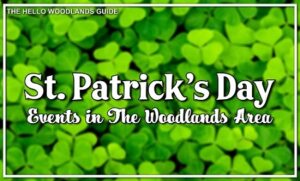 Read more about the article Duston McGroarty – St. Patrick’s Day Live Event (2023)