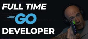 Read more about the article Full Time Go Dev (2023)