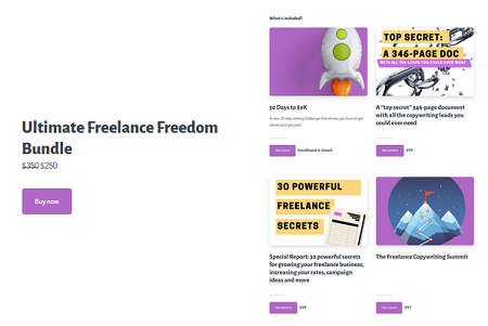 You are currently viewing Robert Allen – Ultimate Freelance Freedom Bundle