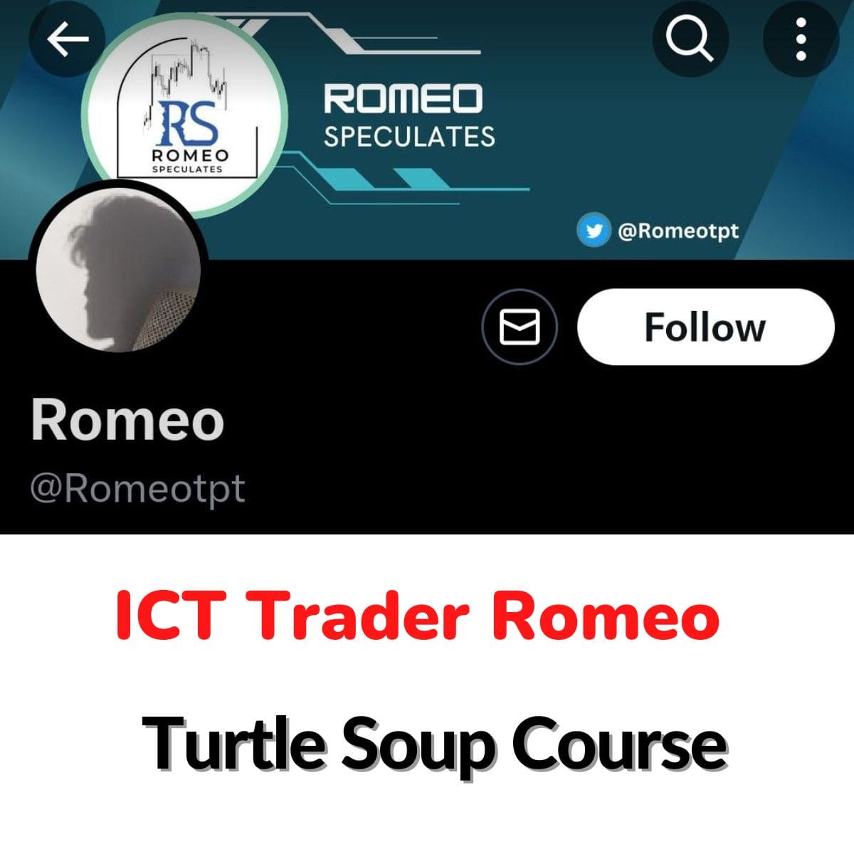 You are currently viewing ICT Trader Romeo – Turtle Soup Course