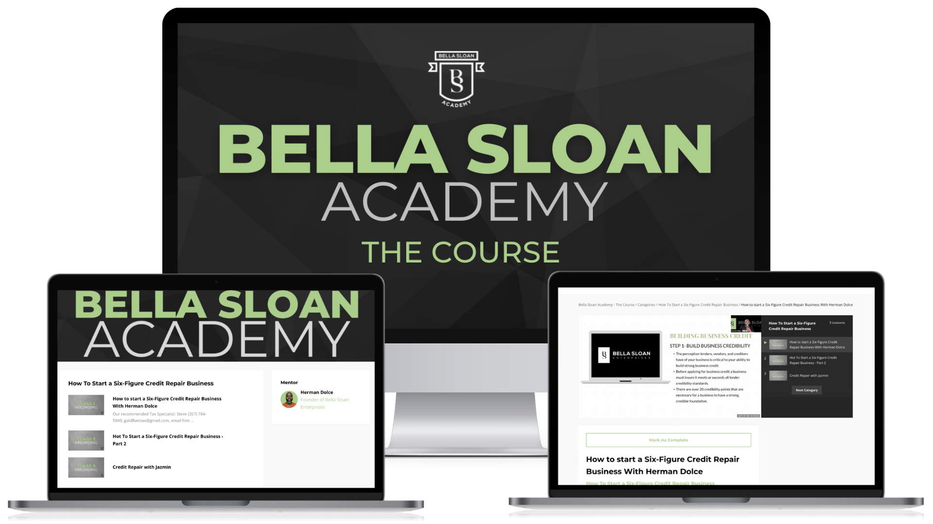 Read more about the article Herman Dolce – Bella Sloan Academy The Course