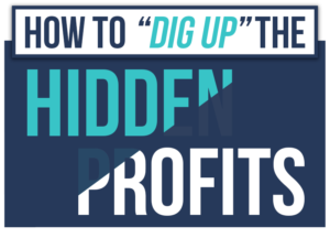 Read more about the article Justin Goff – How To “Dig Up” The Hidden Profits In Any Email List