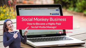 Read more about the article Liz Benny – Social Monkey Business Training
