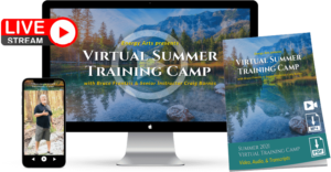 Read more about the article Bruce Frantzis – Virtual Summer Training Camp 2023