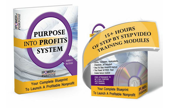 Read more about the article Sherry Watson – Purpose Into Profits System