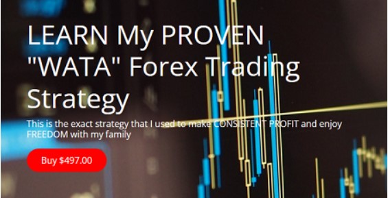 Read more about the article OkkForex – Forex WATA