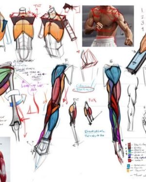 Michael Hampton – Analytical Figure Drawing (Parts 1 and 2)