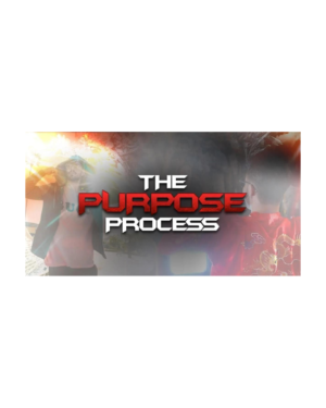 Julien Blanc – The Purpose Process