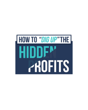 Justin Goff – How To Dig Up The Hidden Profits In Any Email List