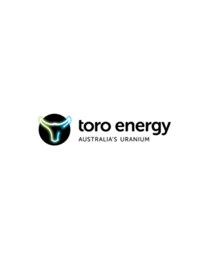 Toros Crypto – Learning Zone Only  (September 2023)