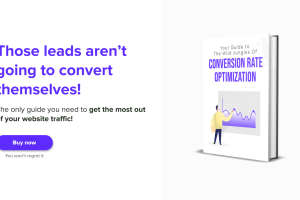 ⚡️ [HOT E-BOOK] ✅ Convert Your Traffic Like Never Before ⭐️ CRO from A to Z ➕ List of 42 A/B Test Ideas ✨