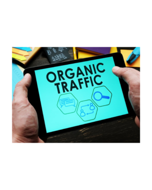 Organic Acceleration – How I turned $20 to 7 figs with Organic Traffic ($1300)