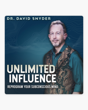 David Snyder – Vibrational Influence 2024