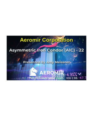 Aeromir – Amy Meissner’s AIC-22 Workshop