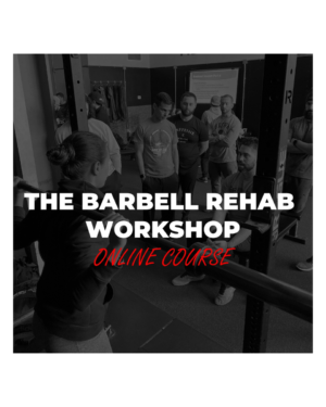 Michael Mash – The Barbell Rehab Workshop Online Course