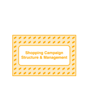 Take Some Risk – Shopping Campaign Structure and Management