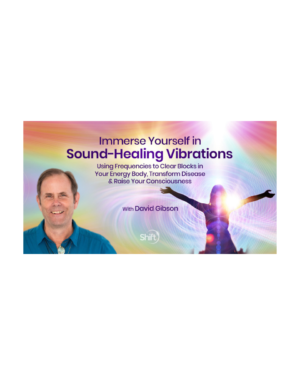 David Gibson – Immerse Yourself in Sound-Healing Vibrations 2024