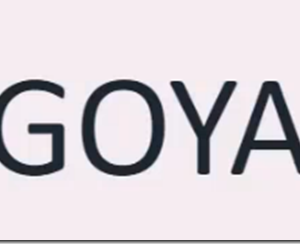 Goya Advanced Course 2023 – Sam9y